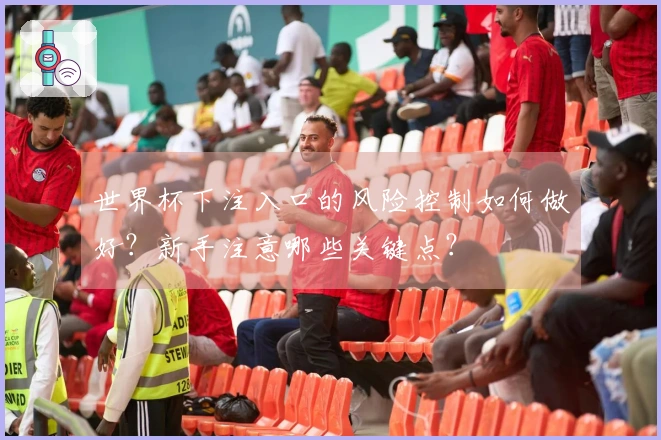 世界杯下注入口的风险控制如何做好？新手注意哪些关键点？