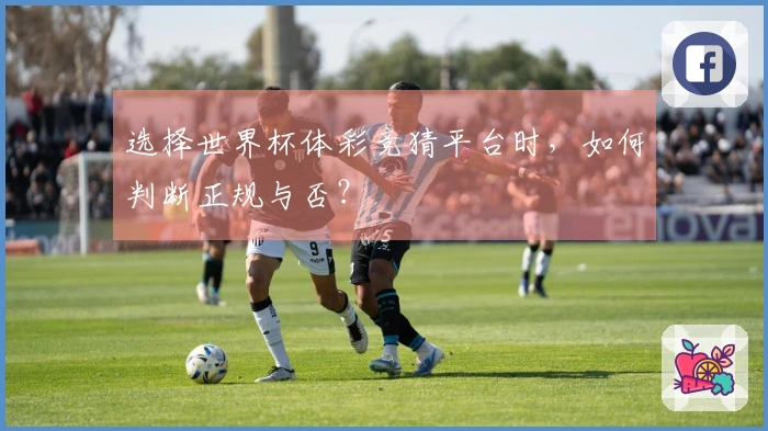选择世界杯体彩竞猜平台时，如何判断正规与否？
