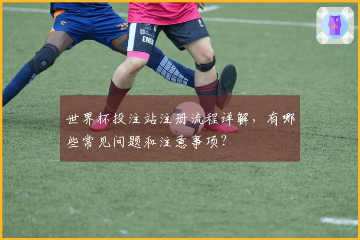 世界杯投注站注册流程详解，有哪些常见问题和注意事项？