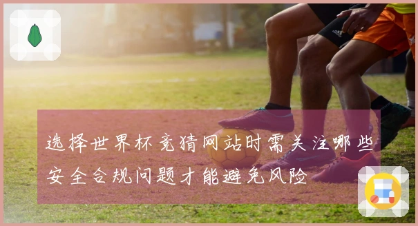 选择世界杯竞猜网站时需关注哪些安全合规问题才能避免风险