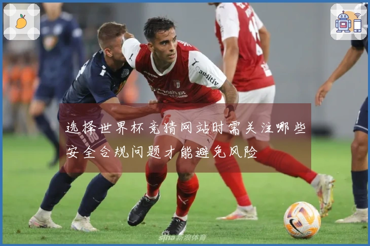 选择世界杯竞猜网站时需关注哪些安全合规问题才能避免风险