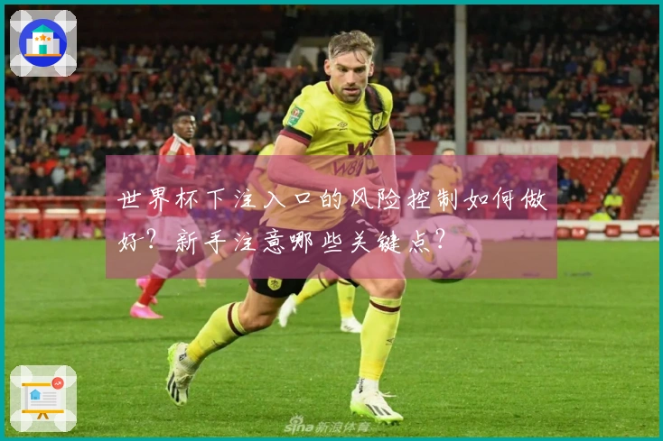 世界杯下注入口的风险控制如何做好？新手注意哪些关键点？