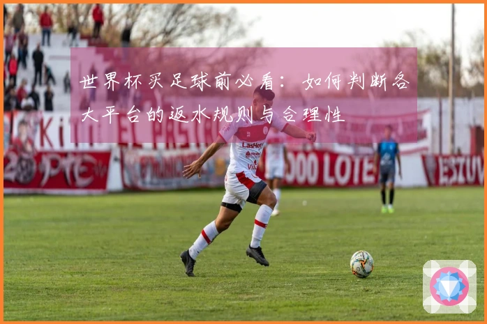 世界杯买足球前必看：如何判断各大平台的返水规则与合理性