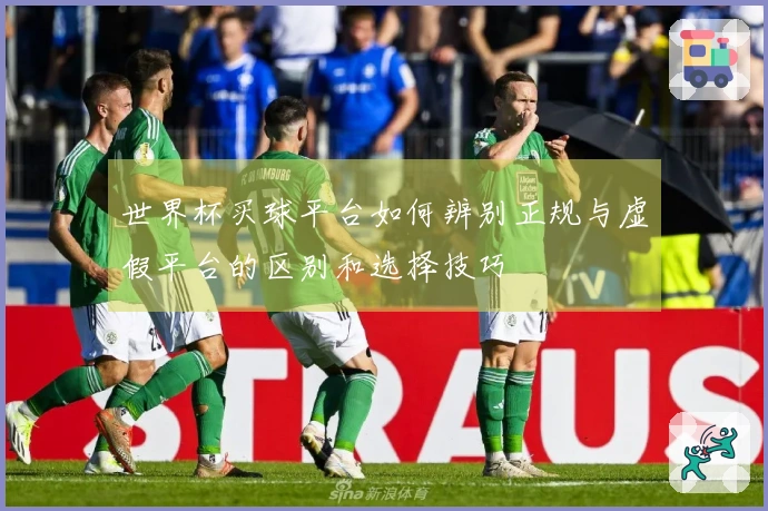 世界杯买球平台如何辨别正规与虚假平台的区别和选择技巧