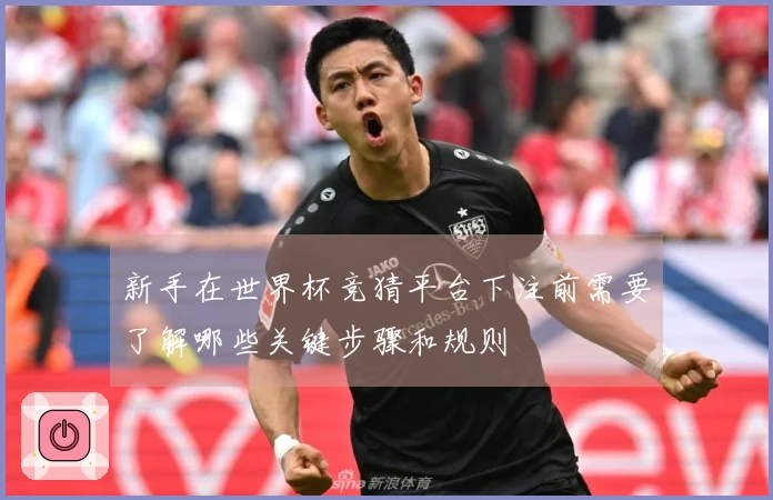 新手在世界杯竞猜平台下注前需要了解哪些关键步骤和规则