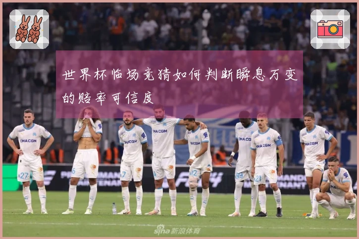 世界杯临场竞猜如何判断瞬息万变的赔率可信度