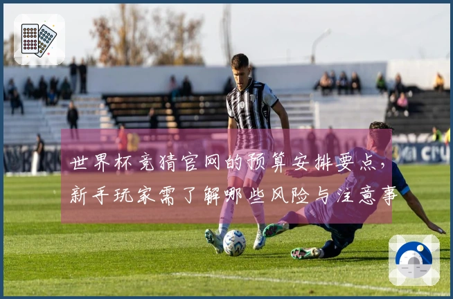世界杯竞猜官网的预算安排要点，新手玩家需了解哪些风险与注意事项