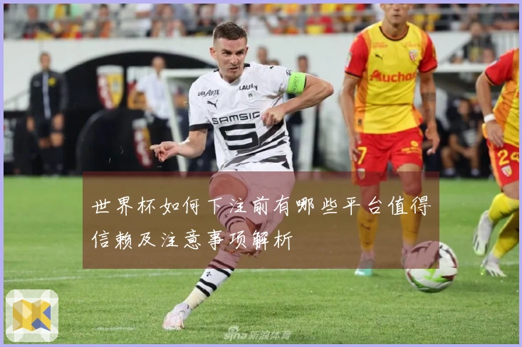世界杯如何下注前有哪些平台值得信赖及注意事项解析